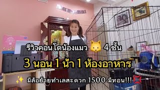 รีวิวบ้านน้องแมว 4 ชั้น งบ 1500 มีทอน!!! /กรงแมว4ชั้น กรงแมว4ชั้นพับได้ บ้านน้องแมว