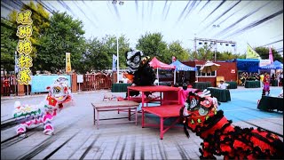 Lion Dance |  Guangdong University Students Lion Dance Championship | 广东职业技术学院醒狮队  舞狮表演 传统龙狮文化