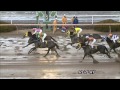 2015 01 15 園田競馬8r 落馬事故