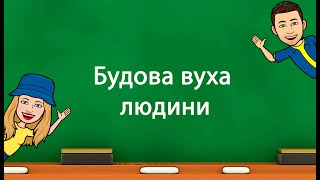 Будова вуха людини