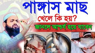 বাঁচতে চাইলে পাঙ্গাস মাছ খাওয়া বন্ধ করুন? জানলে চমকে যাবেন। আরিফ বিন হাবিবDec 2920248:00 PM