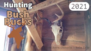 Hunting Bush Bucks 2021 - Northern Ontario