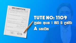 11 ශ්‍රේණිය Tute No: 1109 දෙවන පත්‍රයේ පිළිතුරු (Question No: 1-6)