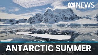 Antarctica blooms as daylight returns to the Southern Continent | ABC News