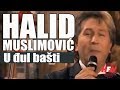 Halid Muslimovic - U djul basti - Novogodisnja prica - (TvDmSat 2012)