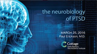 SBNI Lunch Lecture Series - The Neurobiology of PTSD