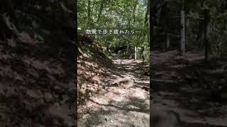 ラムネみたい！と人気の川！水中撮影のコツもupしてます⛰#九州旅行 #熊本旅行 #水中の世界 #菊池 #菊池市