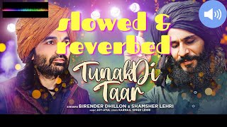 Tunakdi Taar| Slowed \u0026 Reverbed | Birender Dhillon |Shamsher Lehri |Joy - Atul | Karnail Singh Lehri