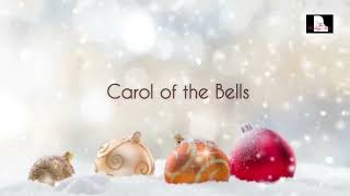 아리스를 위한 위로의 선물🎁 더힐링뮤즈 크리스마스 피아노 연주 Carol of the Bells - Mykola Leontovych