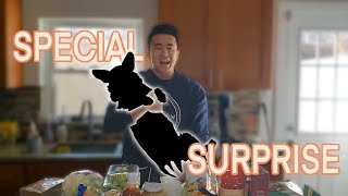 Back with a Surprise!