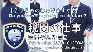 【税関の仕事】空港の税関検査 - This is what JAPAN CUSTOMS do - Customs Inspection at the airport