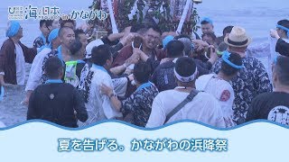 カナガワニ海♯89 浜降祭 編 日本財団 海と日本PROJECT in かながわ 2018 #27