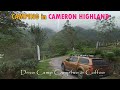 Camping in CAMERON HIGHLAND | Cold evenings & campfire when camping | Zakka campsite | Solo camping