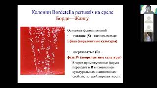 С.А. Лисовская. Возбудитель коклюша, паракоклюша. Специальность - медицинская биофизика.