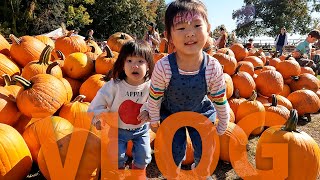 Pumpkin Patches 가을 펌킨 농장 [육아브이로그/미국일상]