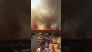 #TURKEY : A massive forest fire broke out in Alacati, Izmir