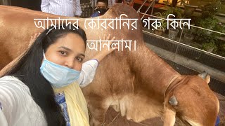 আমাদের কোরবানির গরু কিনে আনলাম।  VLOG 15th 2020 ||