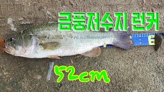 배스낚시 - 나갔다 온 며느리가 효도한다 - 금풍저수지 런커 20241020065334