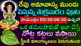 రేపు అమావాస్య ముందు వస్తున్న శుక్రవారం పూట సాయంత్రం 05:30-06:30 మధ్యలో ఒక తమలపాకుతో ఇలా చేస్తే