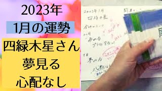 【占い】2023年1月の四緑木星さんの運勢は？【夢見る心配ない】