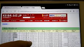 １１/３　大井競馬実施　ＪＢＣクラシック・スプリント・レディースクラシック出走予定馬・騎乗予定騎手　だいたい決定！