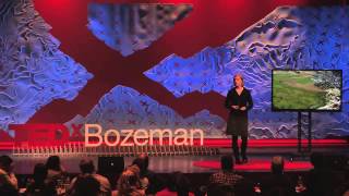 Getting excited about climate change: Molly Cross at TEDxBozeman