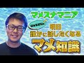 コレクター急増 海の小さな花畑　マメスナの魅力《サンゴ水槽》【2022年6月号 vol.3】