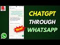 How to Chat with ChatGPT on WhatsApp (Full Guide)