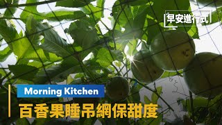 【Morning Kitchen早安廚房】擁「果汁之王」美稱　百香果睡吊網保甜度｜早安進行式 #鏡新聞