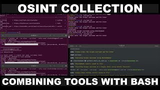OSINT Collection: Combining Multiple CLI Tools with Bash Scripts