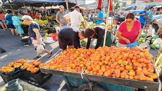 FEIRA DE INÍCIO DE ANO EM CUPIRA-PE COM MUITOS PAULISTAS