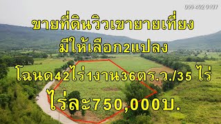 P094ขายที่ดินวิวเขายายเที่ยงมีให้เลือก2แปลงไร่ละ750,000บ.1.ฉ.42-1-36ไร่ 2.ฉ.35ไร่ ต.วังไทร อ.ปากช่อง