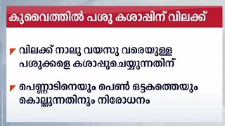 കുവൈത്തിൽ നാലു വയസു വരെയുള്ള പശുക്കളെ കശാപ്പു ചെയ്യുന്നതിനു വിലക്ക്