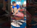 skilled hands cutting fresh tuna fish shorts tunafishcutting satisfying fish