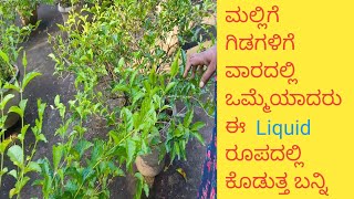 ಮಲ್ಲಿಗೆ ಗಿಡಗಳಿಗೆ ವಾರದಲ್ಲಿ ಒಮ್ಮೆಯಾದರೂ ಈ Liquid ಕೊಡುತ್ತಾ ಬನ್ನಿ ಗಿಡ ಹೇಗೆ growing ಬರುತ್ತೆ ಎಂದು ನೀವೇ ನೋಡಿ