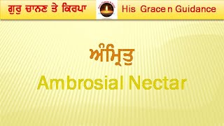 Ambrosial Nectar is found... |  Dhan Guru Nanak Sahib Ji