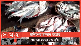 মাদারীপুরে জমজমাট মাছের আড়ৎ | Fish Market | Business News