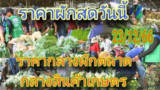 ราคาผักล่าสุดวันนี้ ราคากลางผักล่าสุดวันนี้ 23/12/66