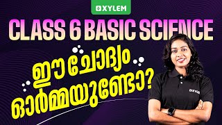 Class 6 Basic Science | ഈ ചോദ്യം ഓർമ്മയുണ്ടോ ?? | Xylem Class 6