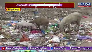 People Protest Against Lack of Developmental Works in Gudur Municipality || Nellore