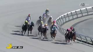 2025年1月18日中京8R 4歳以上1勝クラス　ダート1200m サクラトップヒル