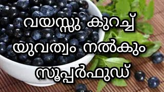 വയസ്സു കുറച്ച് യുവത്വം നല്‍കും സൂപ്പര്‍ഫുഡ്‌||M4 Tips||malayali youtuber||Ep:177