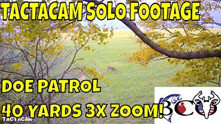 DOE PATROL- SELF FILMED WITH TACTACAM SOLO 40 YARD SHOT!!