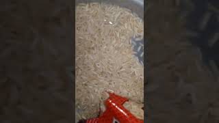 Charminar Select Basmati Rice Eating Raw Rice #basmatirawriceeating #rice #basmatirice