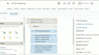 Changing Grade Sync Options within D2L for MindTap