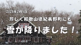 250205 今年一番の寒波が日本列島にやって来ました、めったに雪が降らない和歌山県紀美野町にも雪が降りました。向かいに見える生石高原も雪化粧！