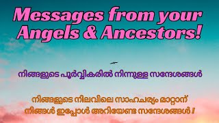 നിങ്ങളുടെ നിലവിലെ സാഹചര്യങ്ങൾ മാറ്റാൻ പൂർവ്വികരിൽ നിന്നുള്ള ഈ Divine guidance message കേൾക്കൂ🔮✨❤️