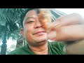 ញុាំចង្រិតបំពង street food in cambodia by pu vot ពូវុធ