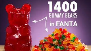 EXPERIMENT: 1400 Gummy bears grow in FANTA | Gummy bear in Water | Fun and science experiments