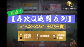 【真飛！專攻Q過關系列】信心飛必看！｜精選連贏2X3賽事分析｜卡達賽馬研習室